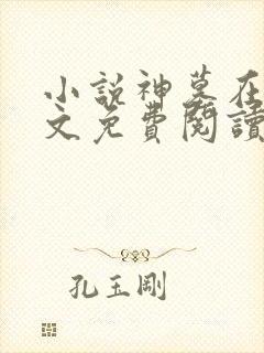 小说神墓在线全文免费阅读