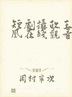 短剧摄政王的囚凰在线观看