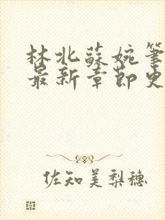 林北苏婉笔趣阁最新章节更新内容