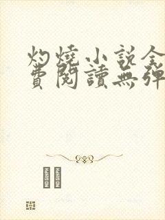 灼烧小说全文免费阅读无弹窗