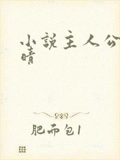 小说主人公叫苏晴