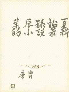 叶辰孙怡夏若雪的小说最新