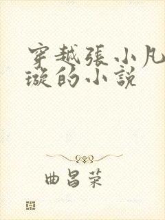 穿越张小凡楚清璇的小说封面