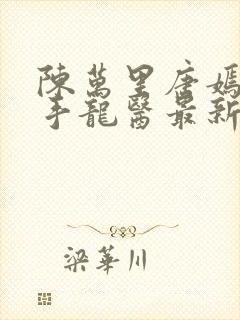 陈万里唐嫣然妙手龙医最新章节更新内容封面