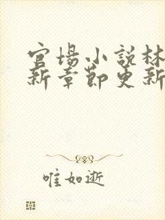 官场小说林一最新章节更新