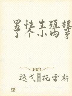 男性生殖根部长了个小肉芽