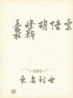 秦峰胡佳云正版最新封面