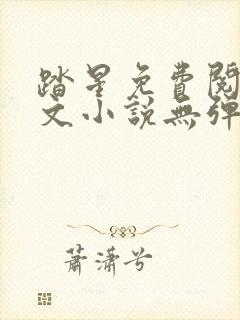 踏星免费阅读全文小说无弹窗