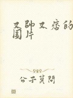 又帅又痞的男模图片