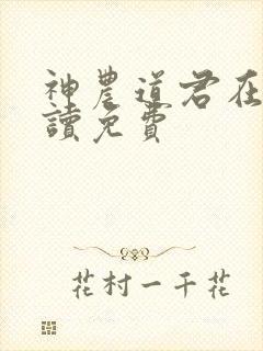 神农道君在线阅读免费封面