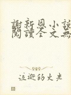 谢新恩小说免费阅读全文无弹窗