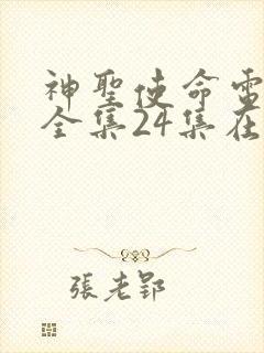 神圣使命电视剧全集24集在线观看