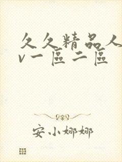 久久精品人妻av一区二区封面