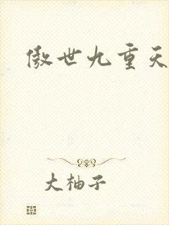 傲世九重天小说