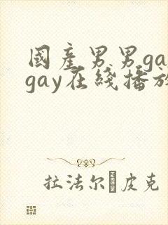 国产男男gaygay在线播放封面