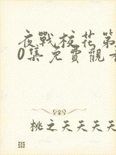 夜战校花第100集免费观看动漫视频