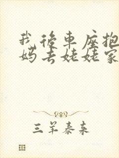 我后车座抱着妈妈去姥姥家电子书封面