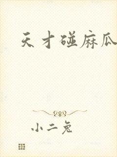 天才碰麻瓜封面