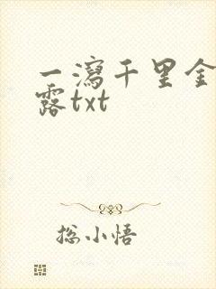 一泻千里金银花露txt