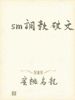 sm调教破文