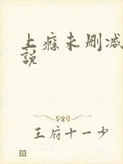 上瘾未删减版小说