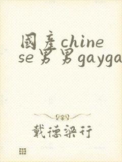 国产chinese男男gaygay网站