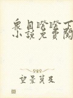 众目睽睽下的事小说免费阅读笔趣阁