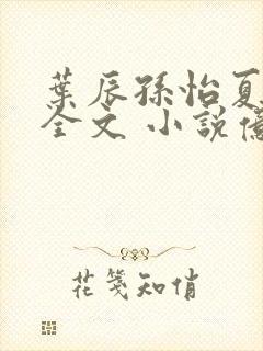 叶辰孙怡夏若雪全文 小说亿软