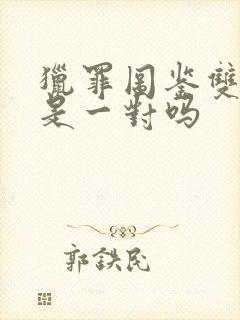 猎罪图鉴双男主是一对吗