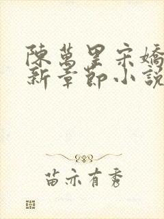 陈万里宋娇娇最新章节小说