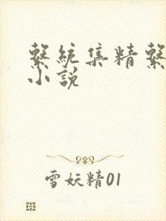 系统集精系统 小说封面