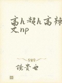 高h超h高辣h文np