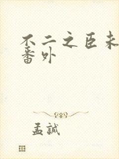 不二之臣未删减番外