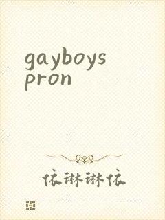 gayboyspron封面