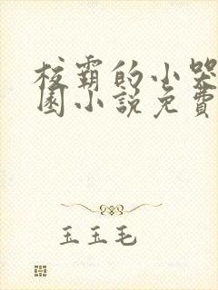 校霸的小哭包校园小说免费阅读封面