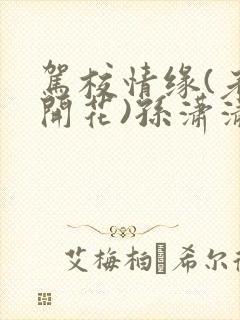 驾校情缘(老树开花)孙潇潇笔趣阁