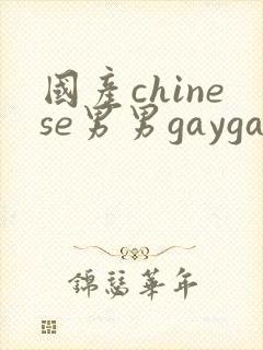国产chinese男男gaygay免费视频
