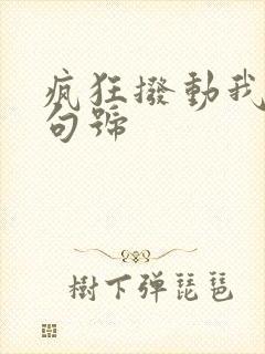 疯狂拨动我的小句号封面