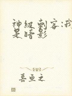 神级刺客:我即是暗影封面