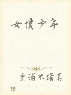 女仆少年
