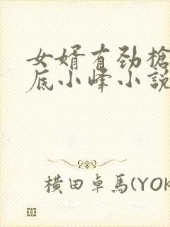 女婿有劲枪枪到底小峰小说