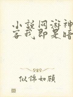 小说网游神级刺客我即是暗影封面