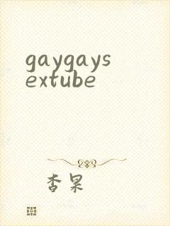 gaygaysextube封面