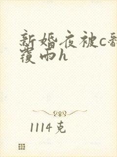 新婚夜被c翻云覆雨h