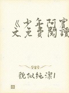 《少年阿宾》全文免费阅读