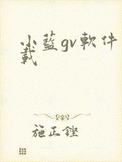 小蓝gv软件下载封面