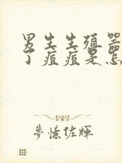 男生生殖器上长了痘痘是怎么回事啊封面