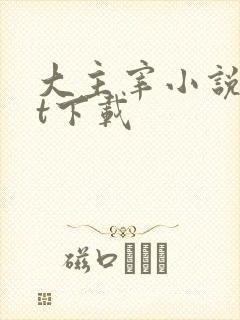 大主宰小说txt下载