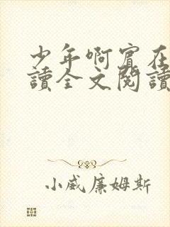 少年啊宾在线阅读全文阅读