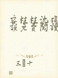 容枝枝沈砚书小说免费阅读无弹窗